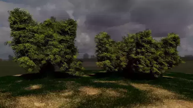 Elm and Spiral Trees with Grass