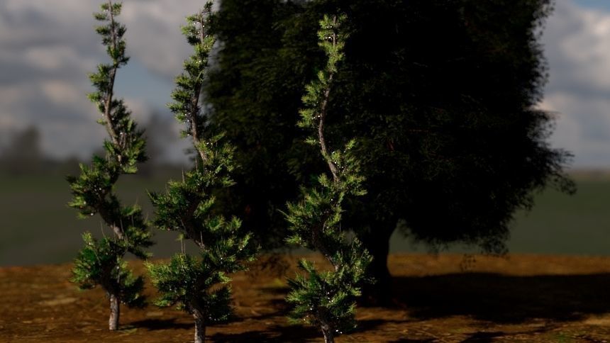 Elm and Spiral Trees with Grass Free 3D model_2