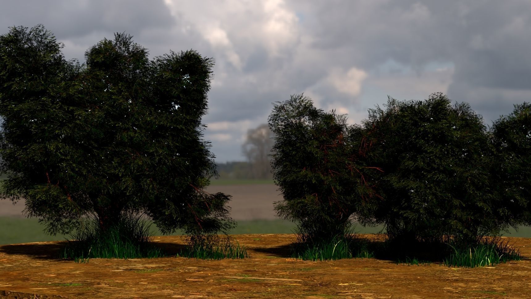 Elm and Spiral Trees with Grass Free 3D model_1