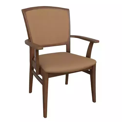 Chair-21 arm chair with tan upholstery