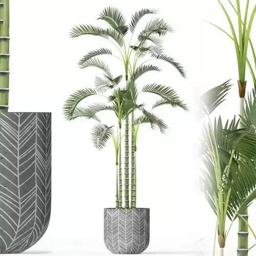 Plants collection 214