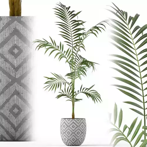 Plants collection 215