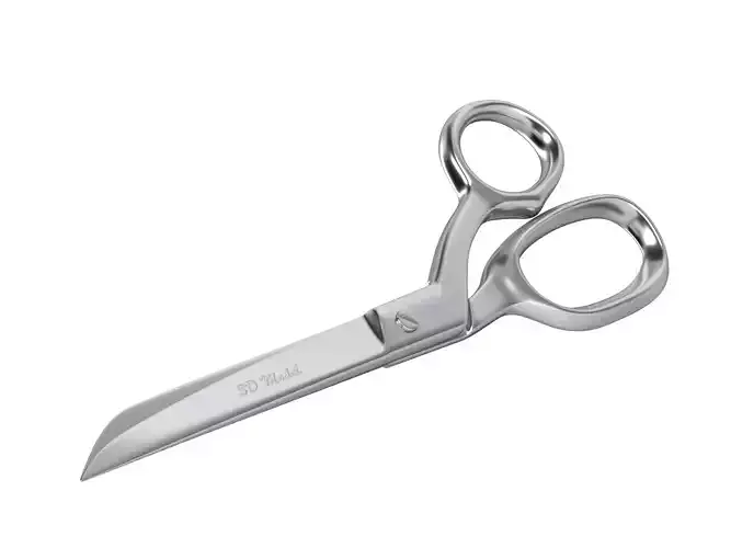 Scissors pair of