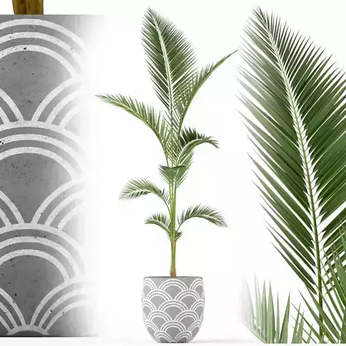 Plants collection 217