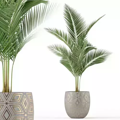 Plants collection 218