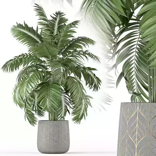 Plants collection 219