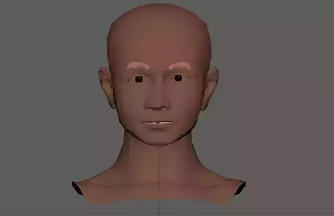 Male head basic model