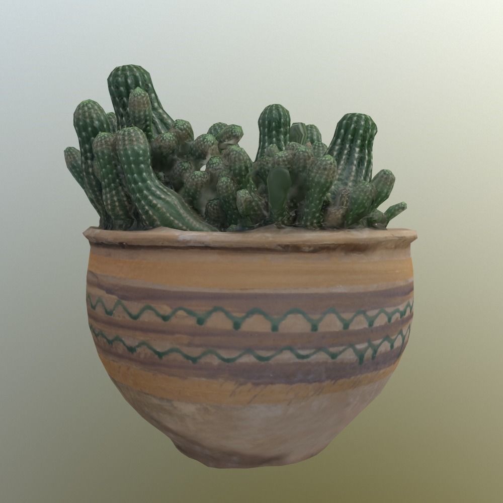 Scanned 3D cactus plant in pot Free 3D model_3