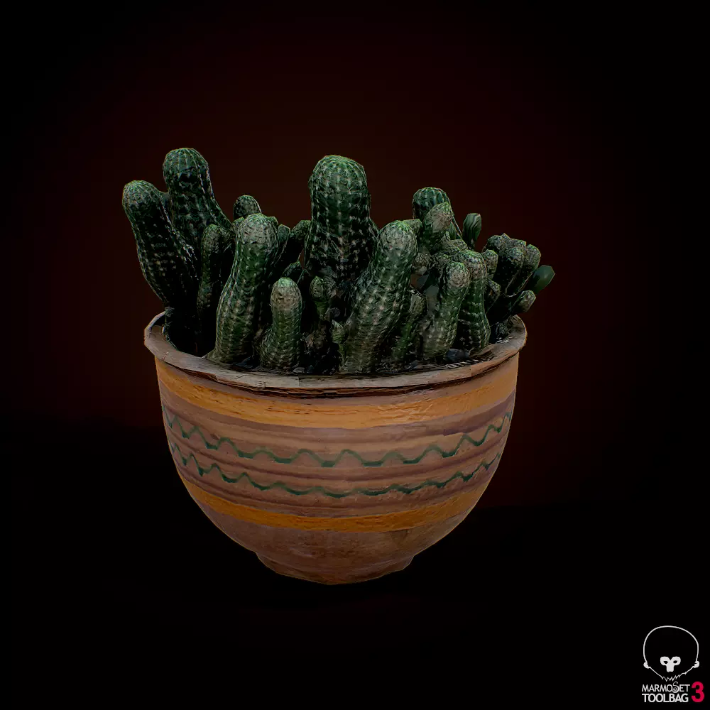 Scanned 3D cactus plant in pot Free 3D model_0