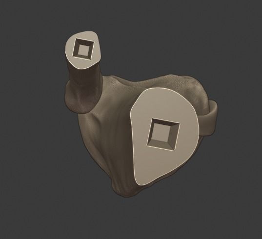 Knee ligaments model 3D print model_22