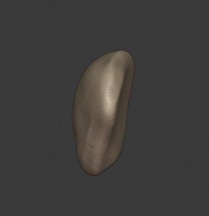 Knee ligaments model 3D print model_19