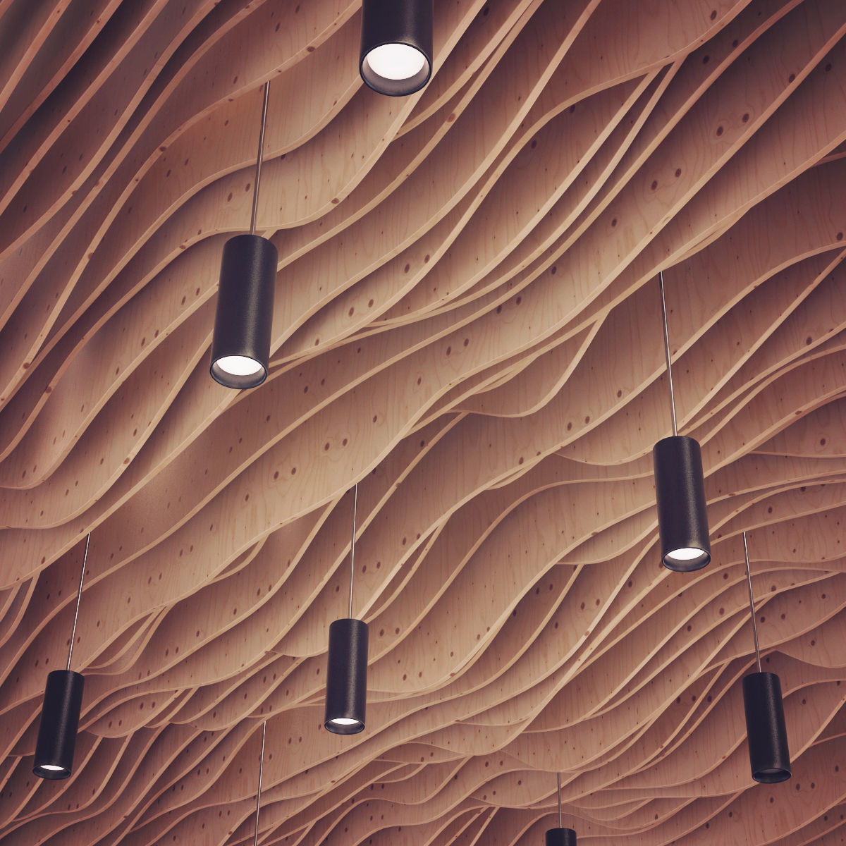 Parametric wood Hall ceiling Light 3D model_1