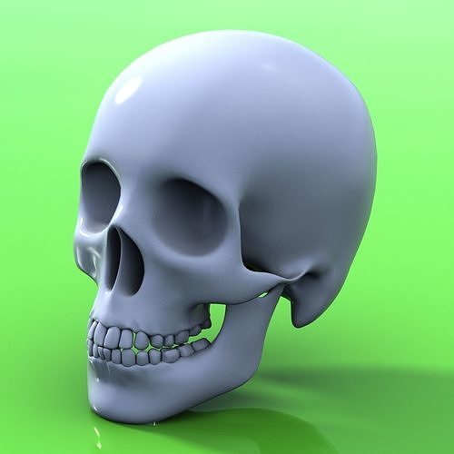 Human Skull Low-poly 3D model