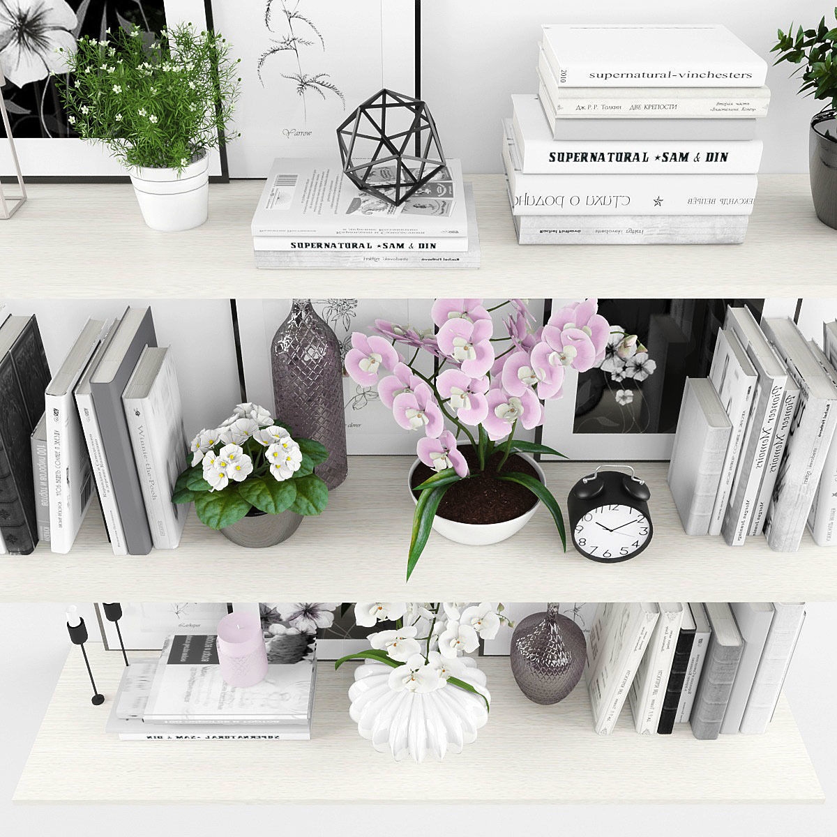 Decorative set bookshelves with flowers and plants Low-poly 3D model_1
