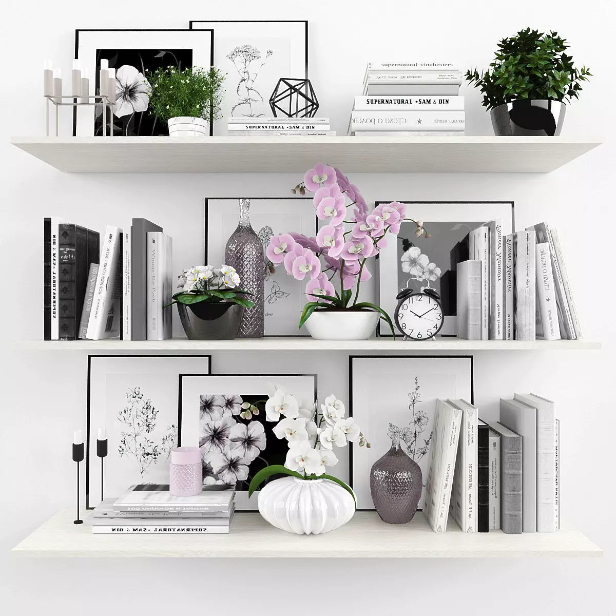 Decorative set bookshelves with flowers and plants Low-poly 3D model_0
