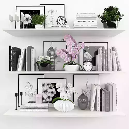 Decorative set bookshelves with flowers and plants Low-poly 3D model