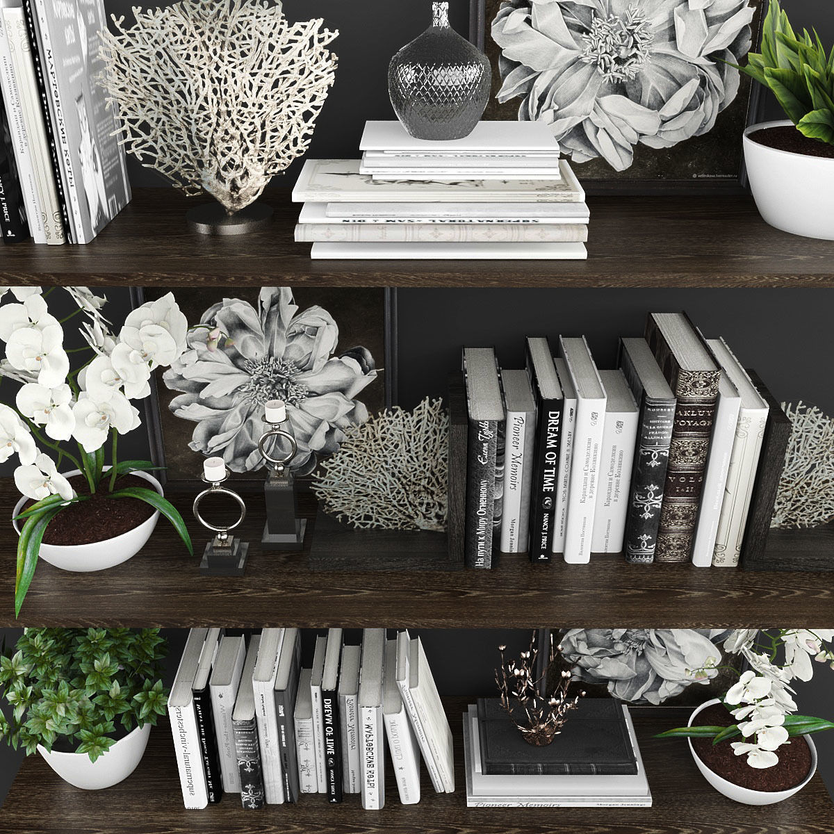 Decorative set bookshelves with plants and flowers Low-poly 3D model_1