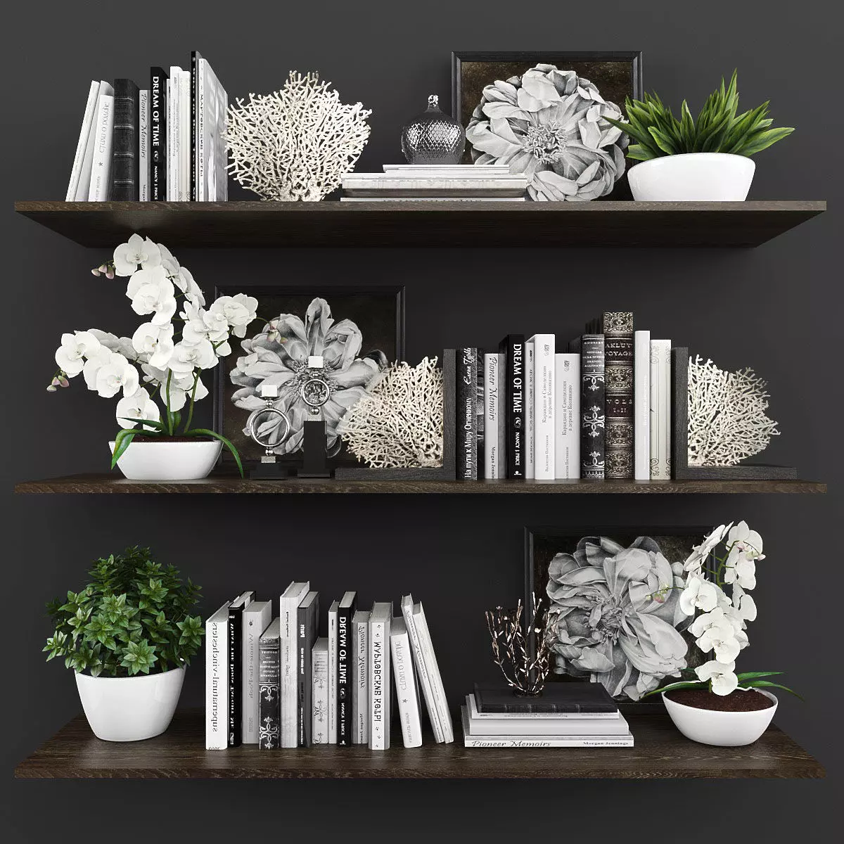 Decorative set bookshelves with plants and flowers Low-poly 3D model_0