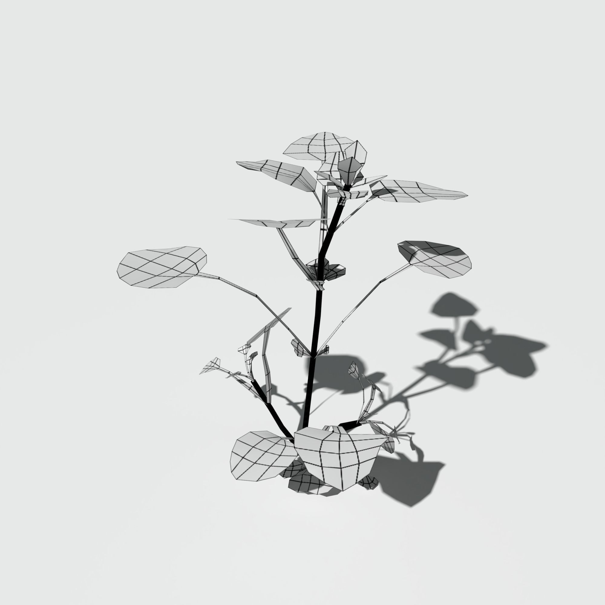 Purple Dead Nettle Pack 3D model_9