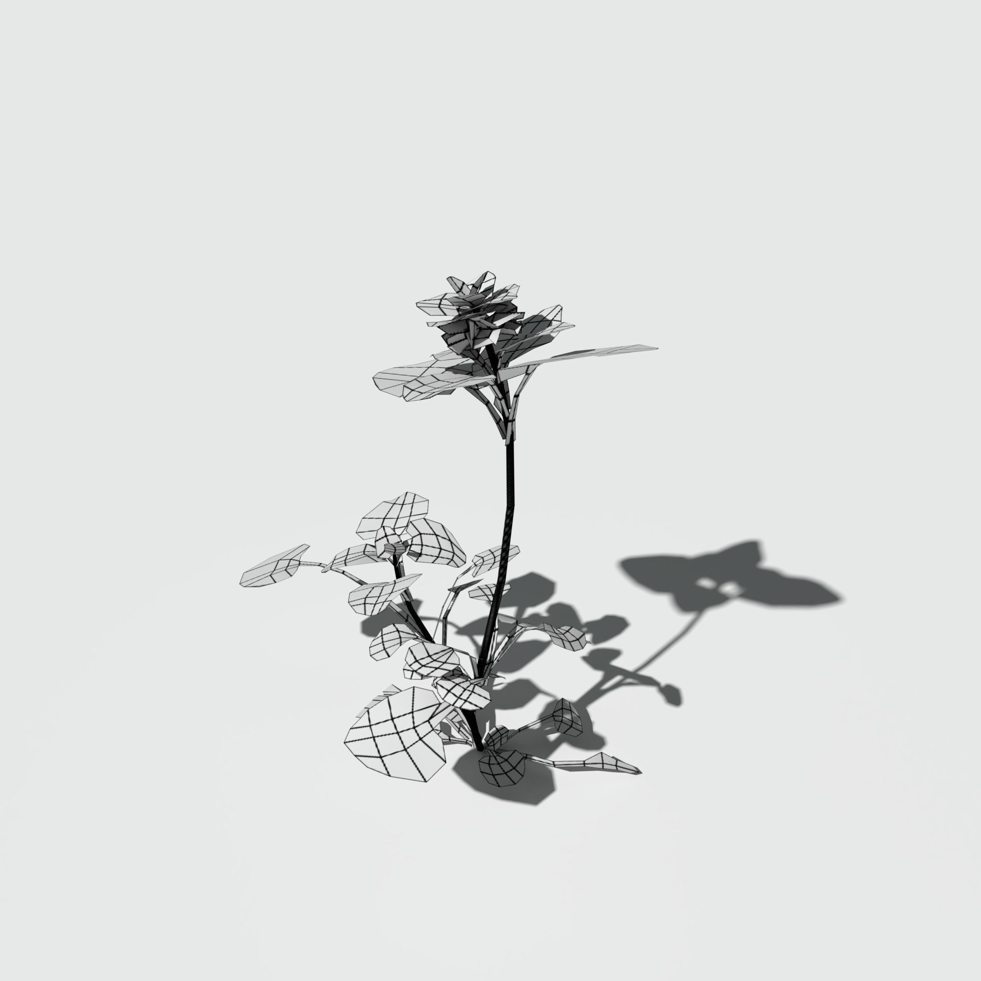 Purple Dead Nettle Pack 3D model_11