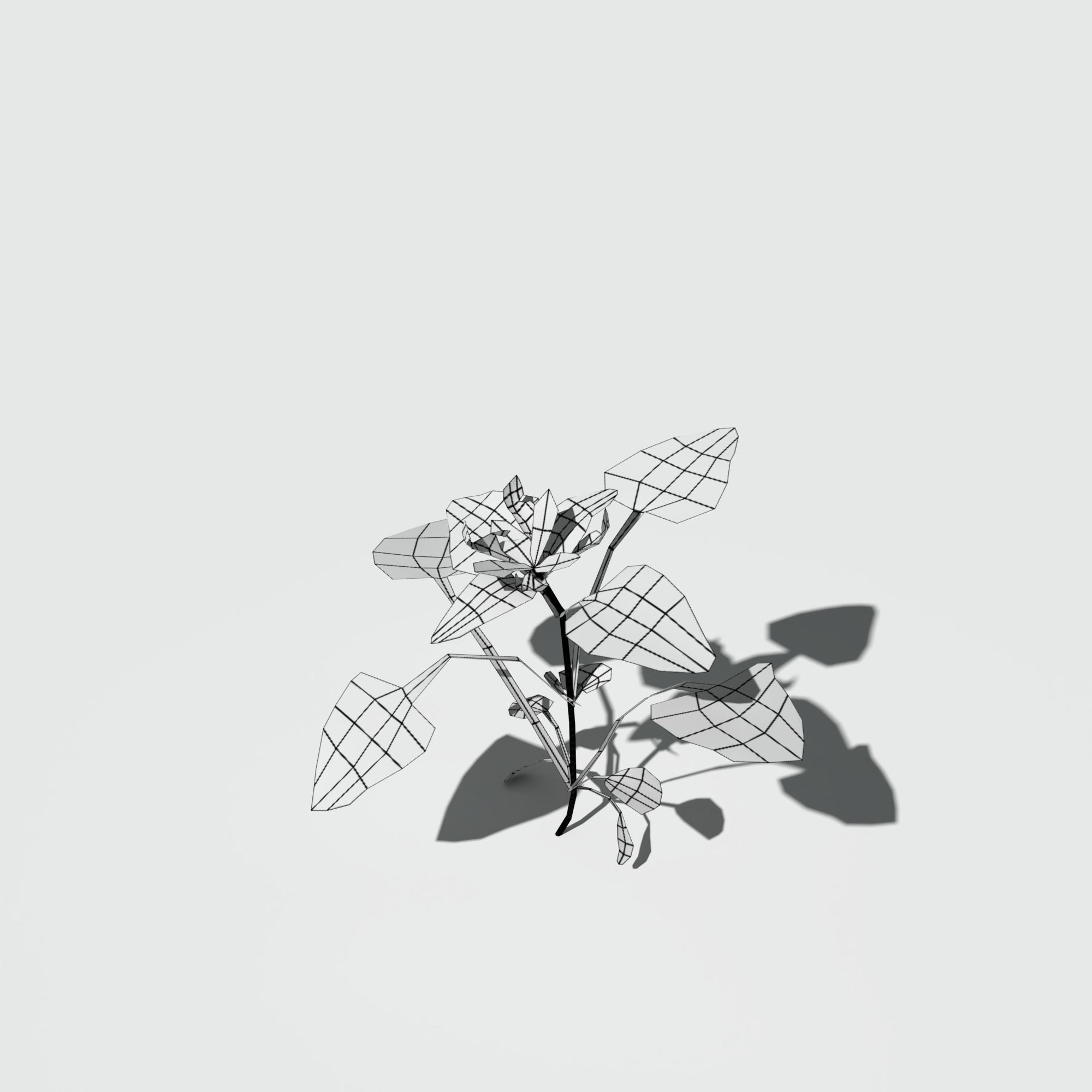 Purple Dead Nettle Pack 3D model_13