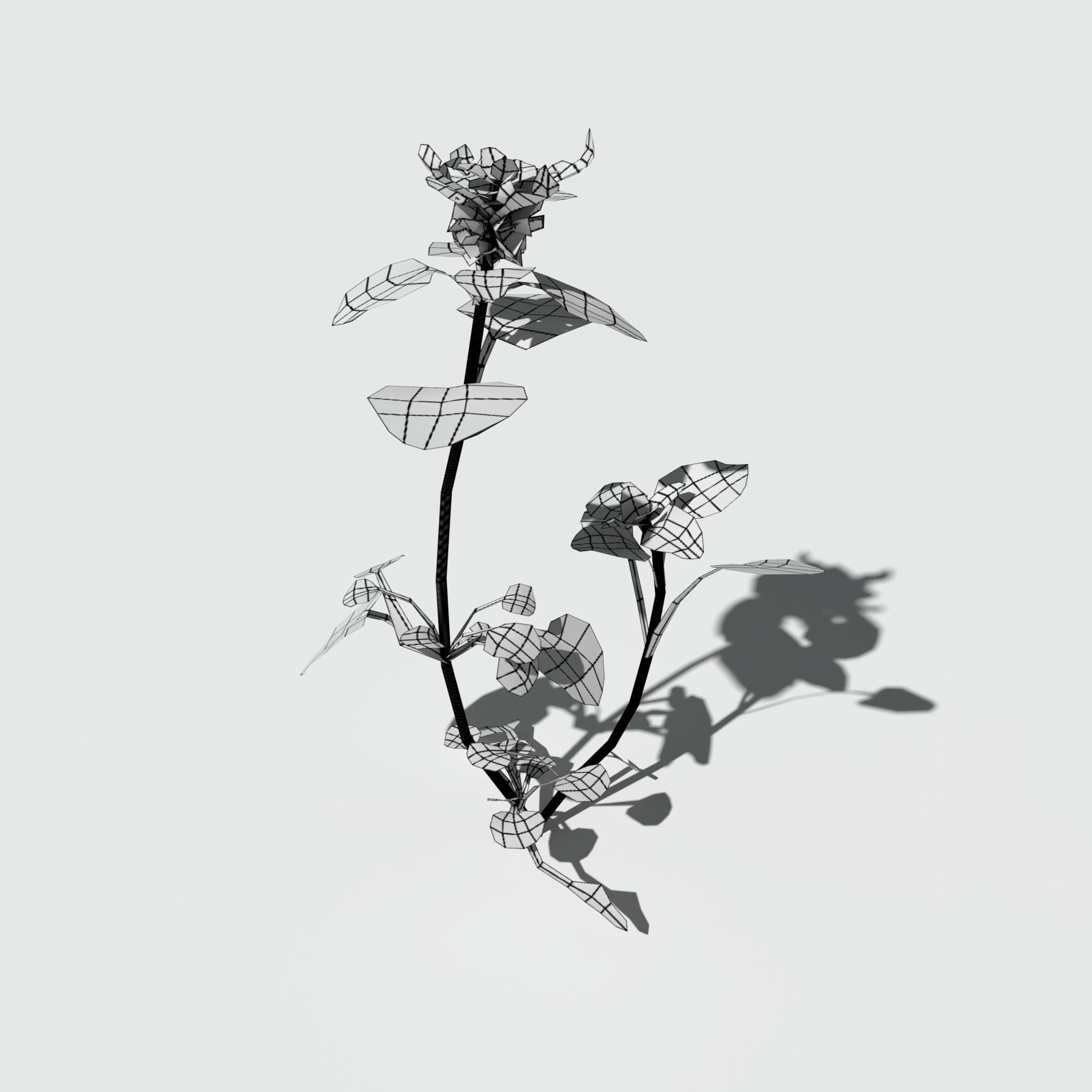 Purple Dead Nettle Pack 3D model_7