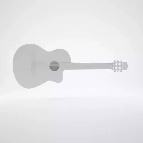 Guitar acoustic