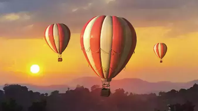 Hot Air Balloon 3D model