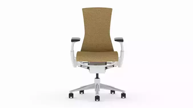 Herman Miller Embody Chair