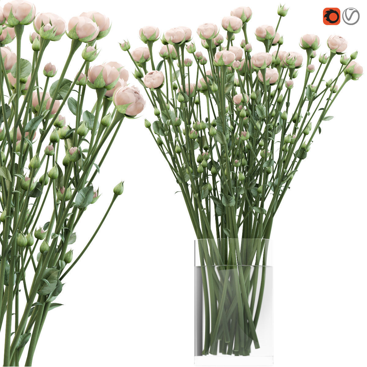 Bouquet of small beige shrub roses in a vase with water 3D model_2
