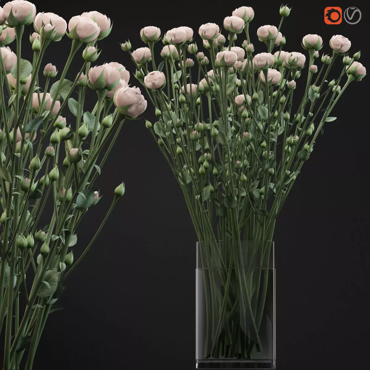 Bouquet of small beige shrub roses in a vase with water 3D model_0