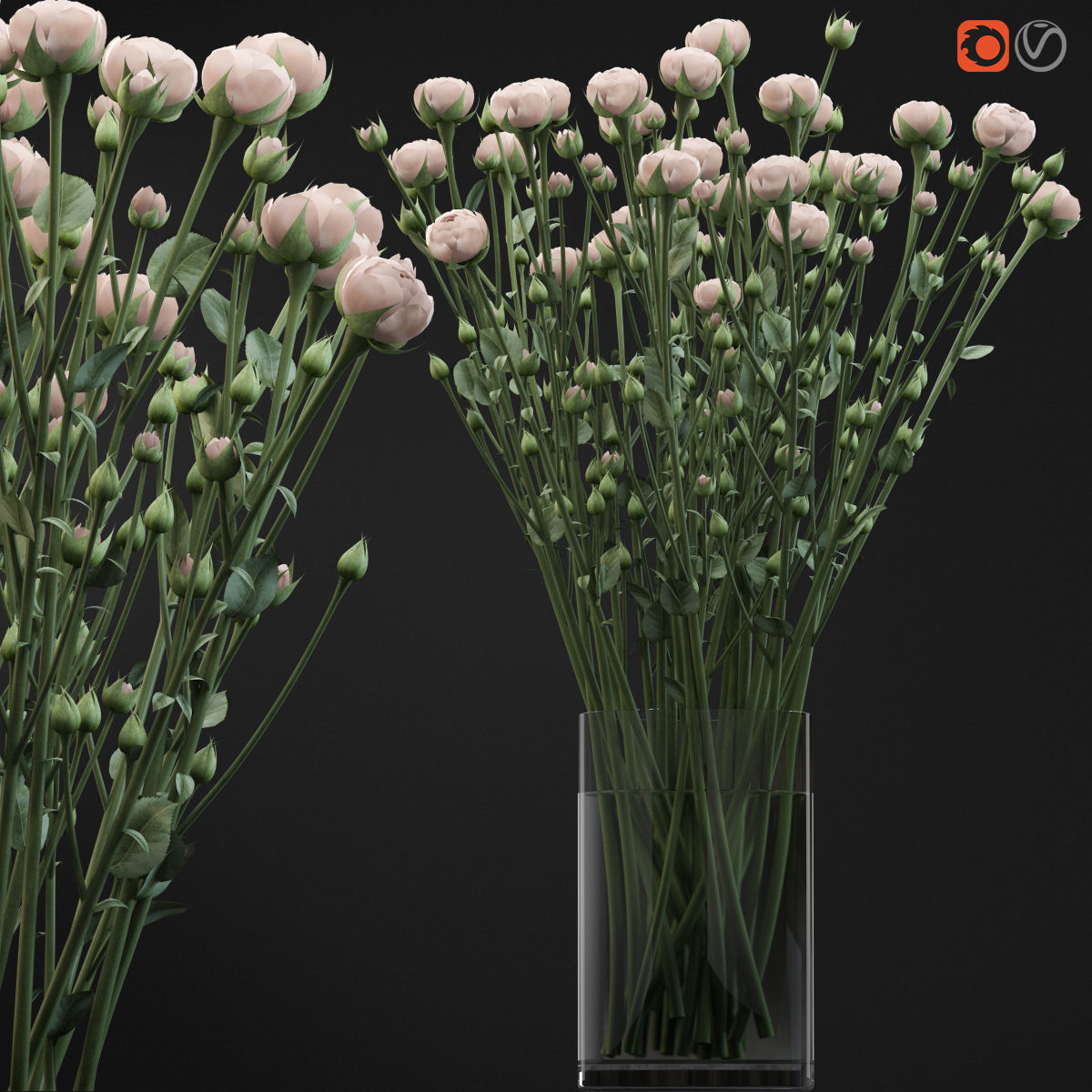 Bouquet of small beige shrub roses in a vase with water 3D model_1