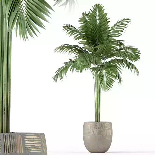 Plants collection 220 3D model