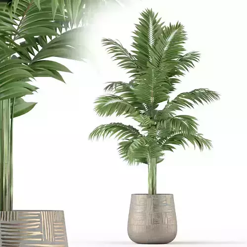 Plants collection 221