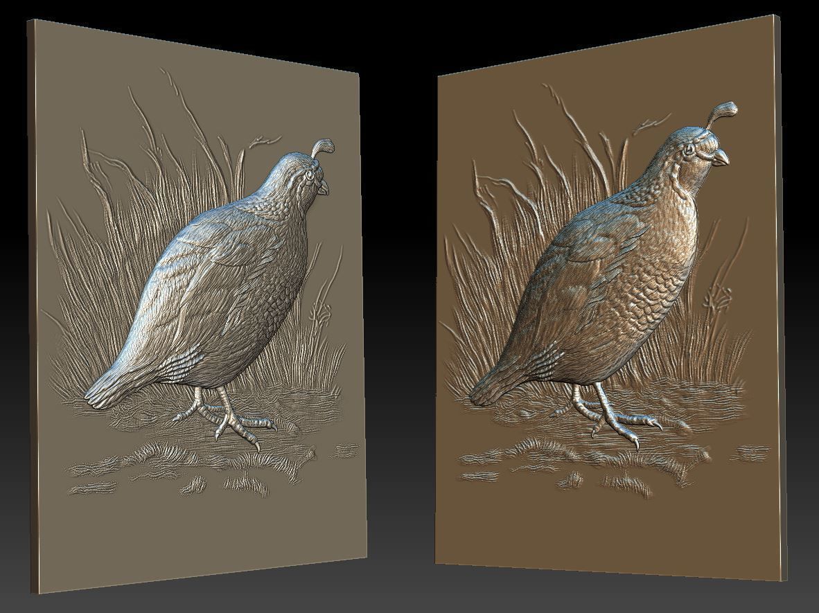 WHite Quail 2 - relief - 2020 3D print model_1
