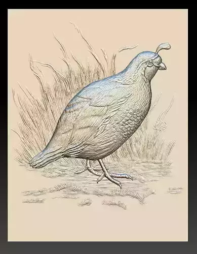 WHite Quail 2 - relief - 2020