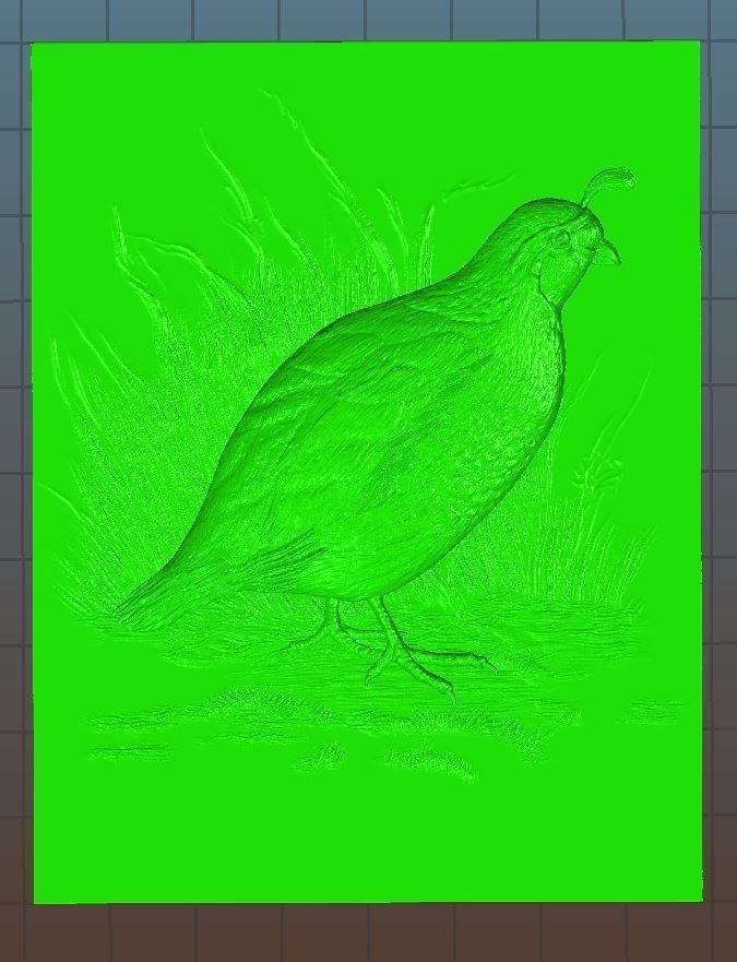 WHite Quail 2 - relief - 2020 3D print model_4