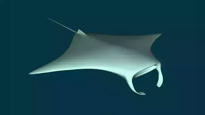 Stingray low-poly model manta ray