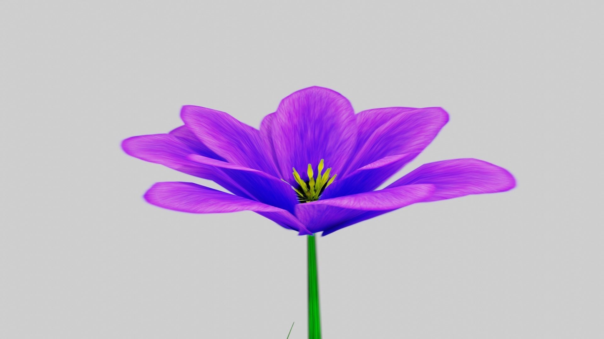 Stylized Purple Flower Low-poly 3D model_3