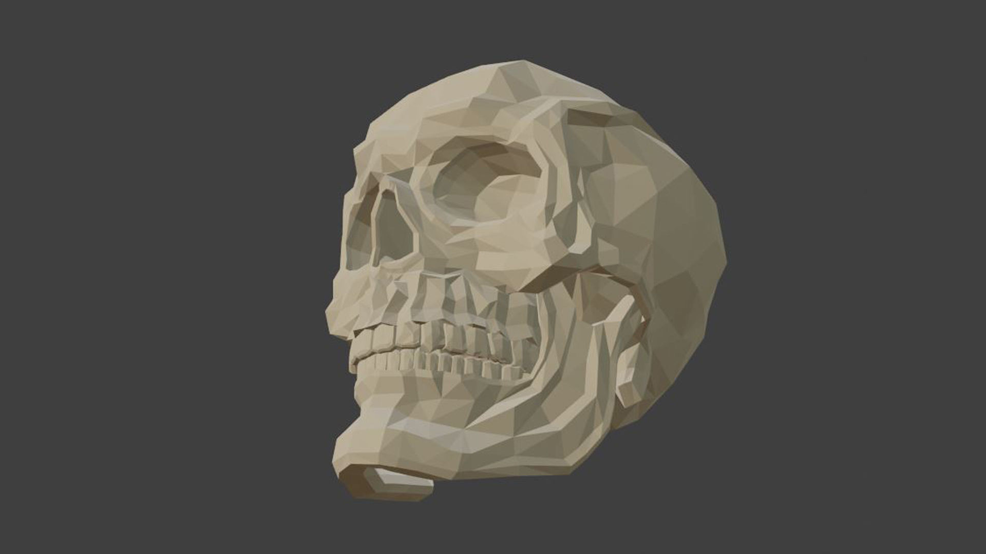 Low poly skull 3d model in polygons 3D model_2