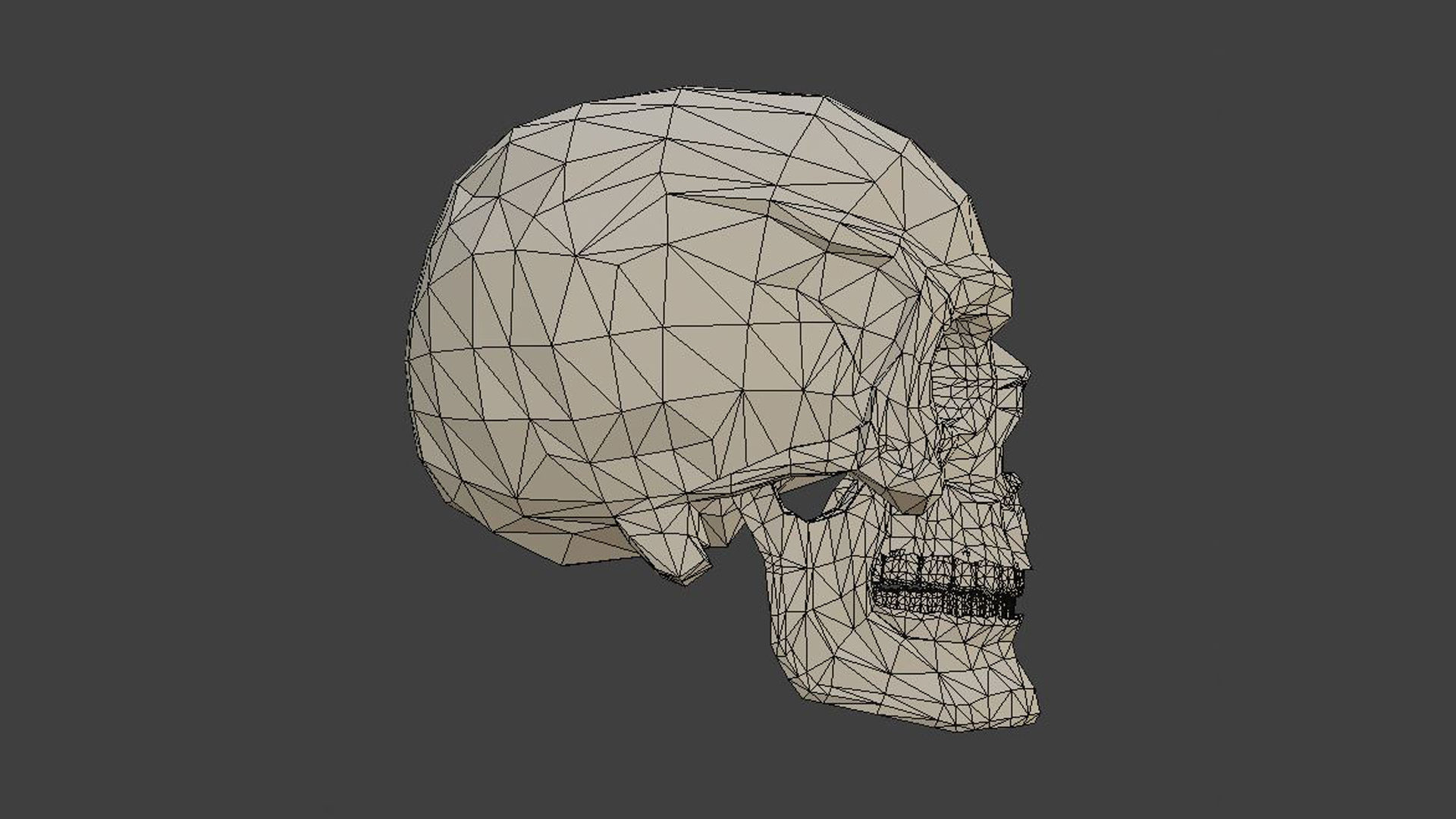 Low poly skull 3d model in polygons 3D model_6