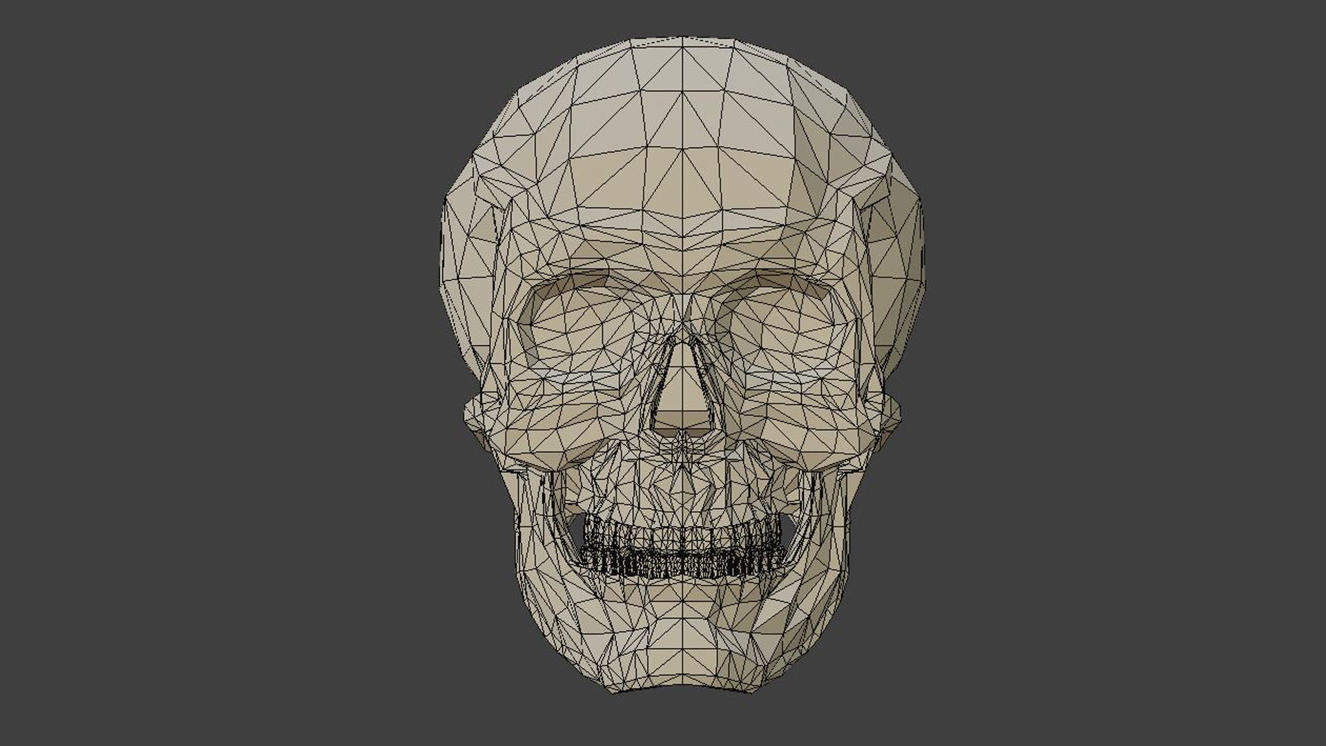Low poly skull 3d model in polygons 3D model_5