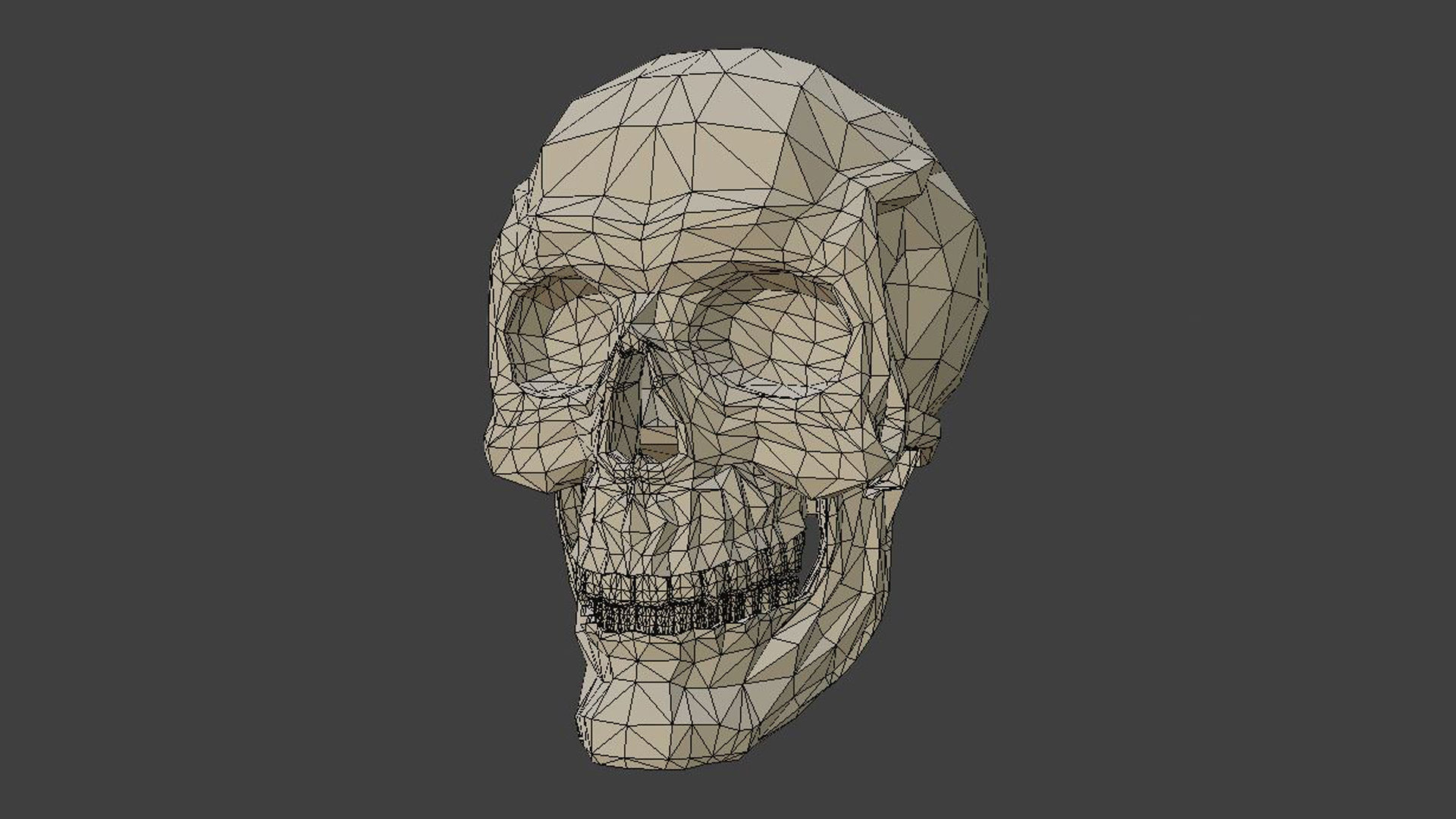 Low poly skull 3d model in polygons 3D model_3