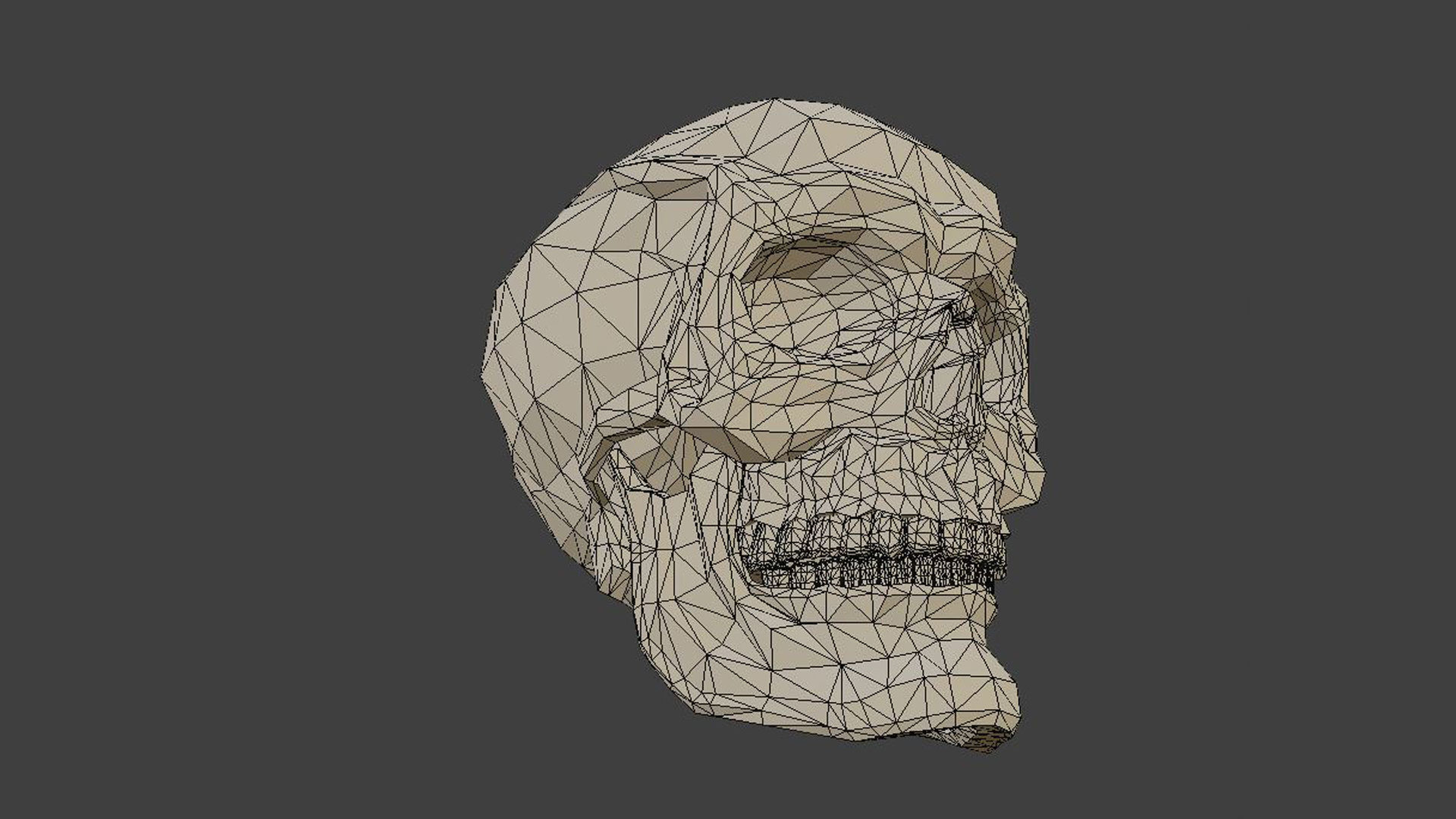 Low poly skull 3d model in polygons 3D model_4