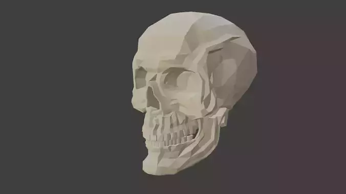 Low poly skull 3d model in polygons 3D model