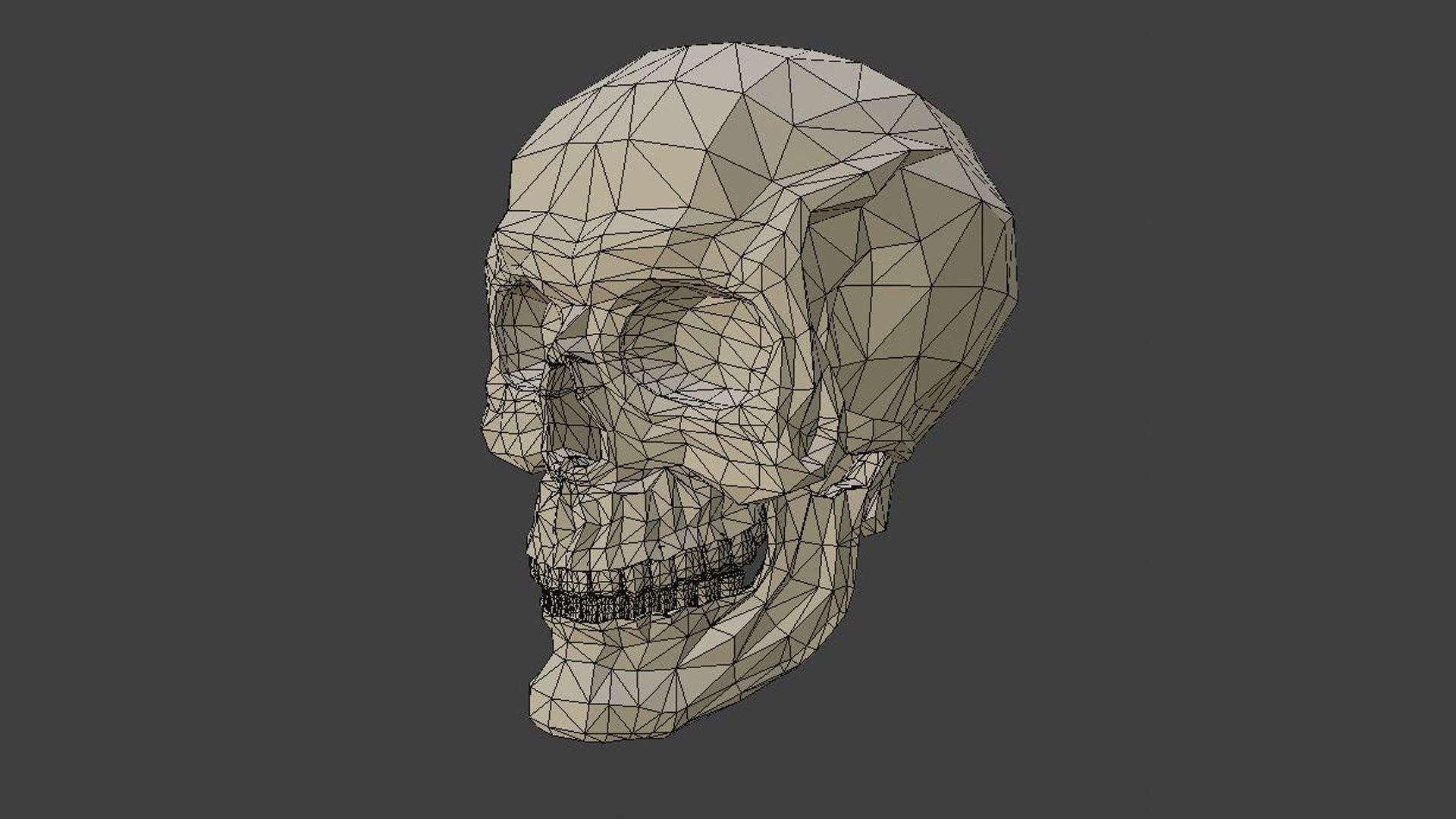 Low poly skull 3d model in polygons 3D model_1