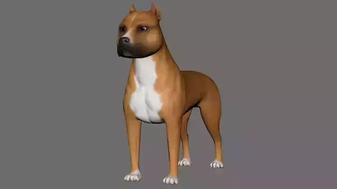 Dog  American Staffordshire Terrier Low-poly 3D model