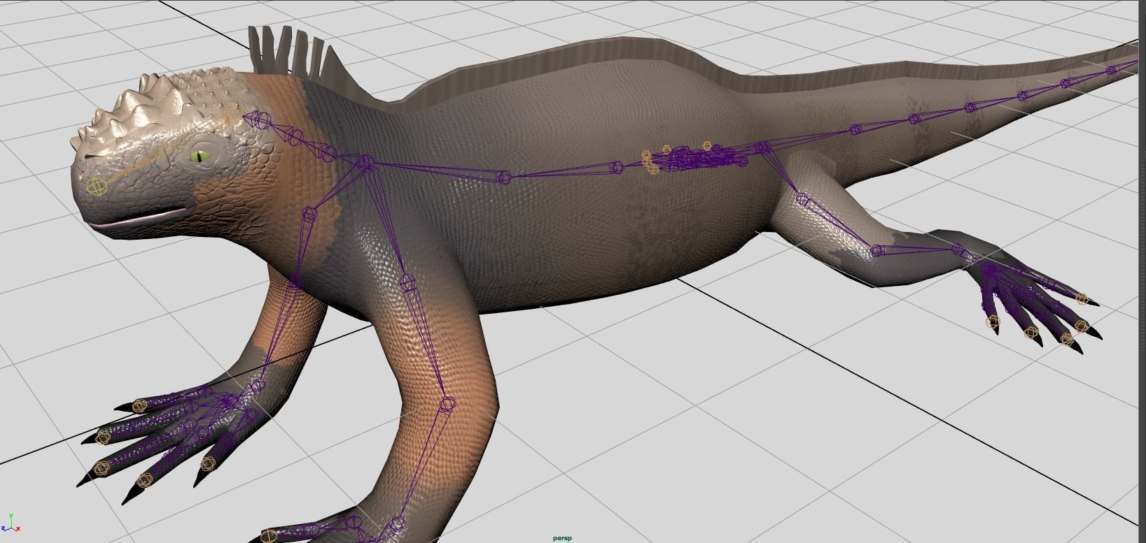 Cartoon Marine Iguana 3D model_2