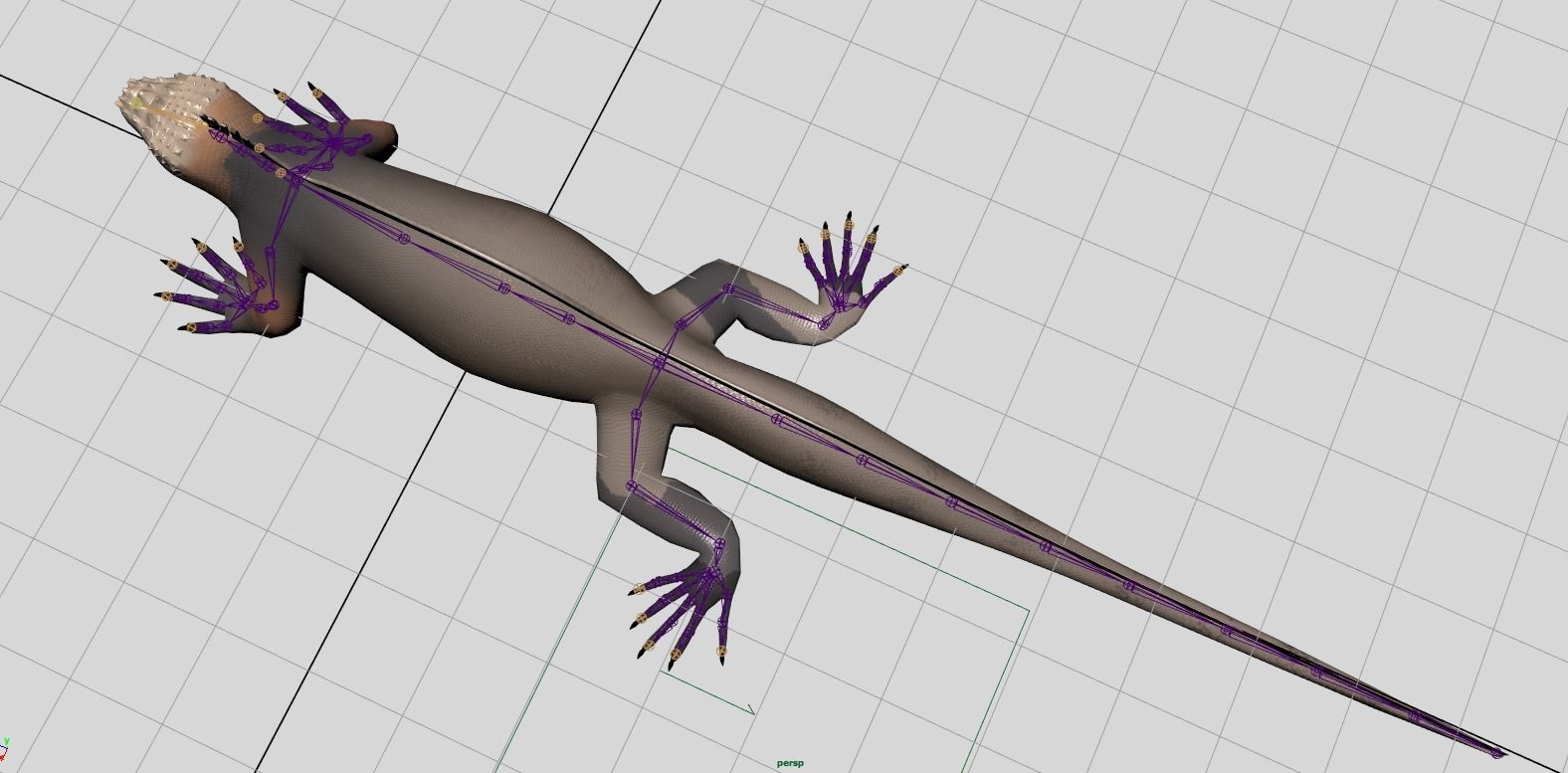 Cartoon Marine Iguana 3D model_4