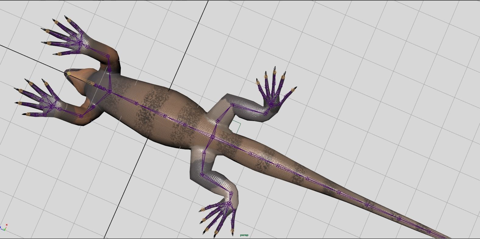 Cartoon Marine Iguana 3D model_5